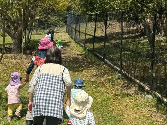 🐐💕
昨日は、とうふちゃんとシュガーちゃんに会いに行きました。
少し遠目ではありましたが子ども達もじっと見ていました☺︎

#垂水区 #小規模保育園 #本多聞小規模保育園 #散歩 #ヤギ #ヤギの親子