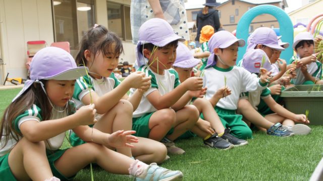 5歳児ぞうぐみ田植え体験🌾

5月に発芽させた稲の田植えをしました。
副園長先生が手順を教えてくれる話をしっかりと聞き真剣なまなざしのぞう組です🐘
土の中に稲をいれるのが難しいようでしたが、とてもいい経験になったと思います。
これからしばらくは水を切らさないようにし、雑草を抜きながらしっかりと稲の生長を観察する予定です。

秋に新米が食べられることを願うばかりです🥺

#西宮市#上甲子園#こども園#保育園
#田植え#お米づくり#5歳児