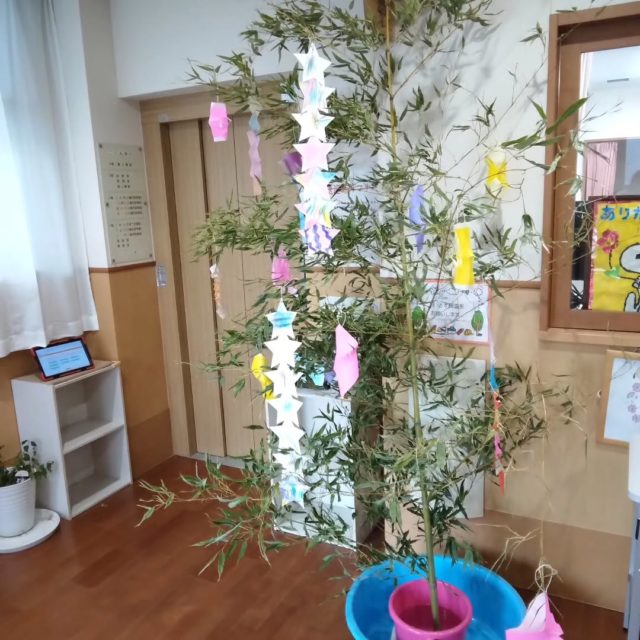 こども園に大きな笹が届きました💕
子どもたちは今お部屋で可愛い笹飾りを用意しています🌟
短冊にはどんな願い事が書いてあるのか楽しみです♪
七夕祭りの日には五色の短冊でいっぱいになるのかなー？とワクワクしています❗

ここで、笹を見つけたときの子どもの面白い一言！
うわあ！メリークリスマスだあ✨🎄✨
ですって！
毎日面白いことがつきないので本当に楽しいです♥️

みなさんは短冊に書く願い事は決まりましたか？？

#西宮市#上甲子園#こども園#保育園
#七夕#笹飾り