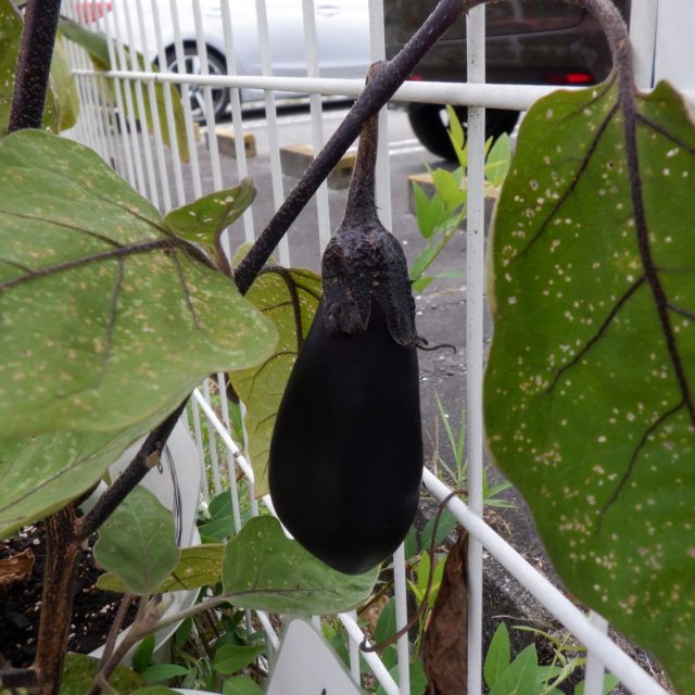 Instagram 投稿 17924844882068226