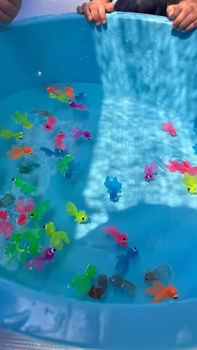 水遊び☀️

#垂水区
#小規模保育園 
#本多聞小規模保育園
#水遊び
#金魚すくい
#夏の遊び
#園児募集中