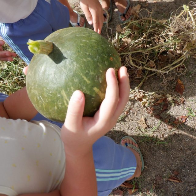 Instagram 投稿 17942614545027584