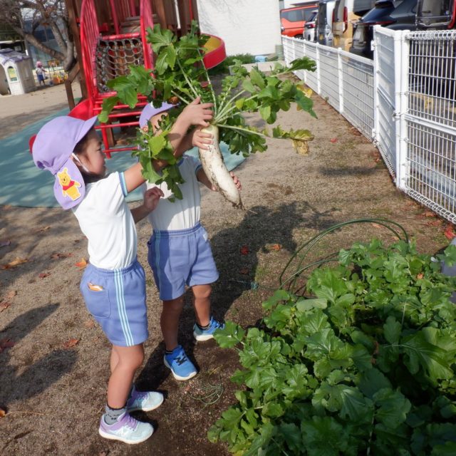 Instagram 投稿 18121042345541360