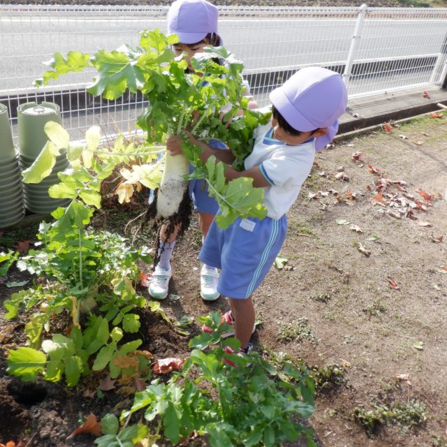 Instagram 投稿 18073677638205368