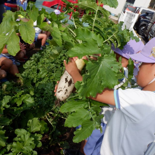 Instagram 投稿 18368458756091481