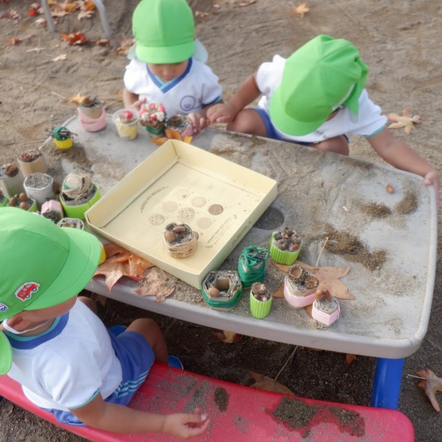 Instagram 投稿 18091134091899078